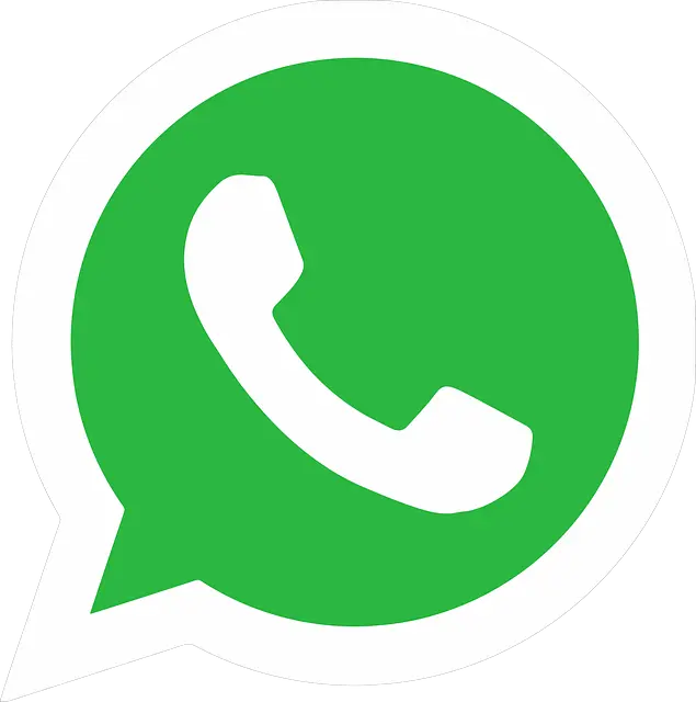 WhatsApp icon